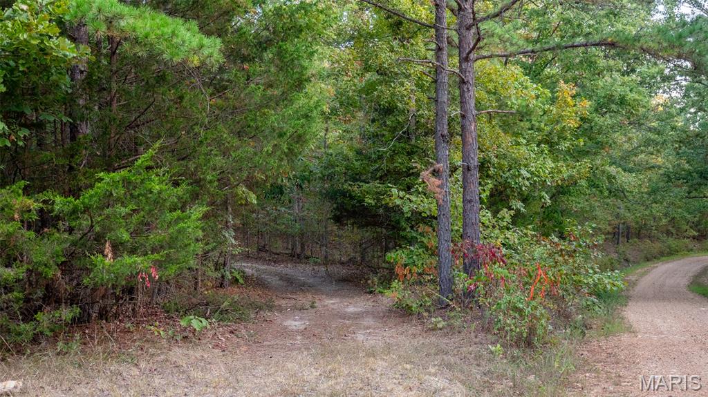 0 County Road 137 Annapolis, MO 63620 - Photo 24 of 52