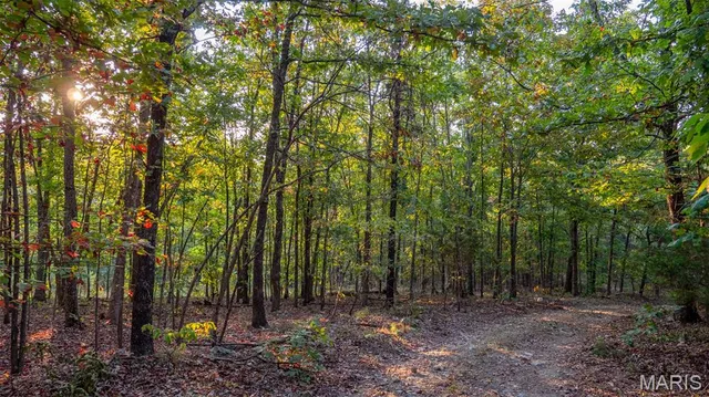 $269,900 | 0 County Road 137, Annapolis, MO 63620