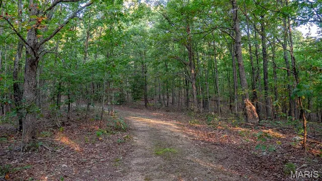 $269,900 | 0 County Road 137, Annapolis, MO 63620