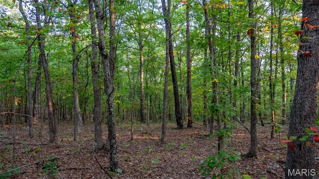 $269,900 | 0 County Road 137, Annapolis, MO 63620