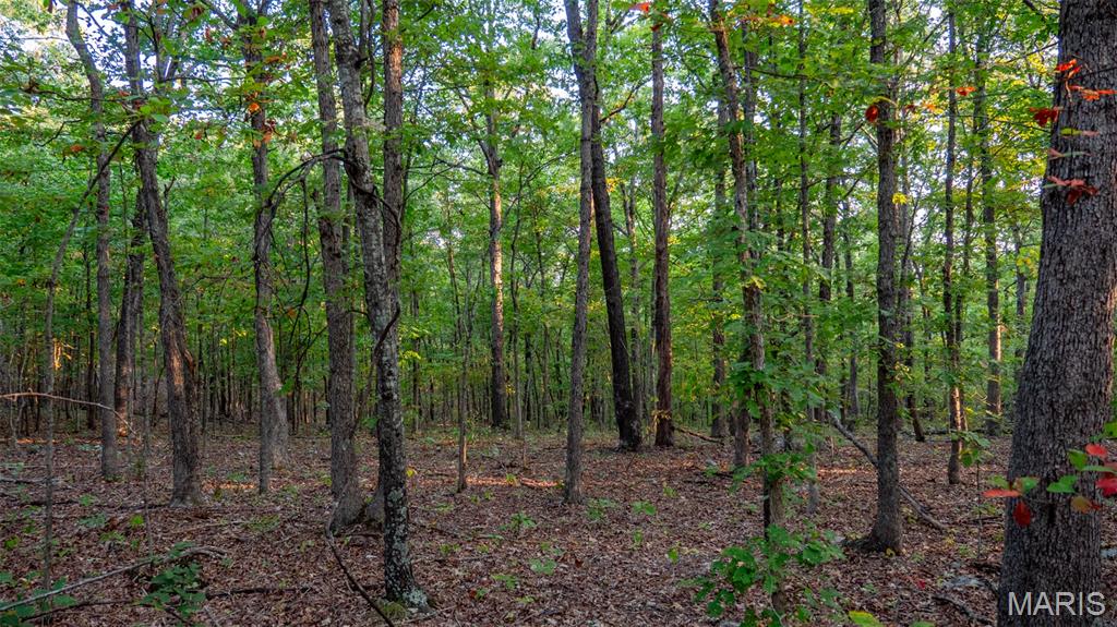 0 County Road 137 Annapolis, MO 63620 - Photo 28 of 52