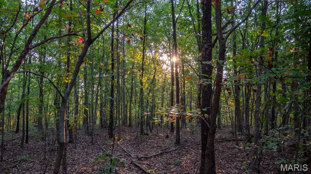 $269,900 | 0 County Road 137, Annapolis, MO 63620