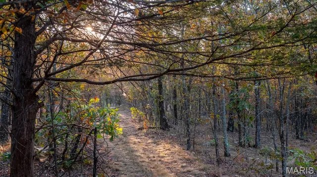 $269,900 | 0 County Road 137, Annapolis, MO 63620