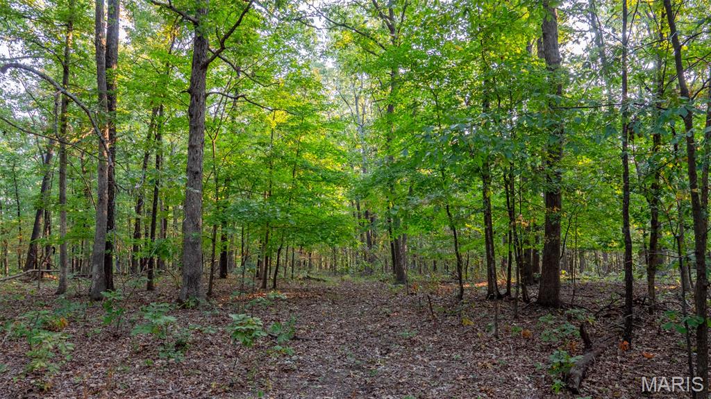 0 County Road 137 Annapolis, MO 63620 - Photo 34 of 52