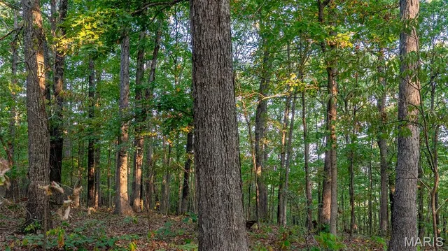 $269,900 | 0 County Road 137, Annapolis, MO 63620