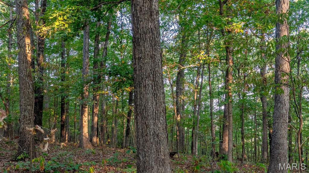 0 County Road 137 Annapolis, MO 63620 - Photo 35 of 52