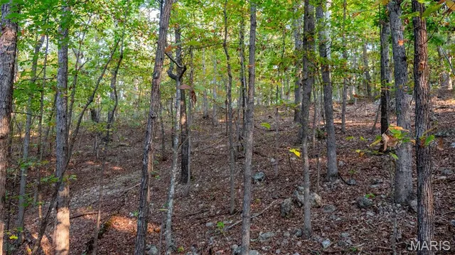 $269,900 | 0 County Road 137, Annapolis, MO 63620