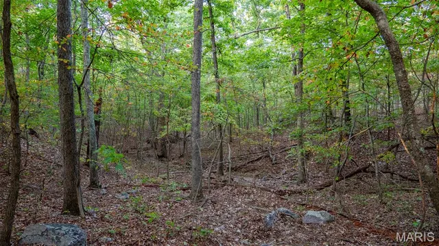 $269,900 | 0 County Road 137, Annapolis, MO 63620