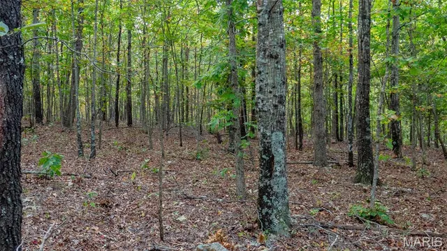 $269,900 | 0 County Road 137, Annapolis, MO 63620