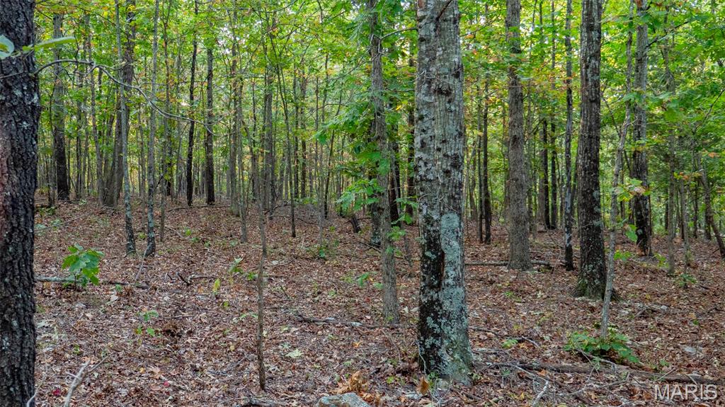 0 County Road 137 Annapolis, MO 63620 - Photo 40 of 52