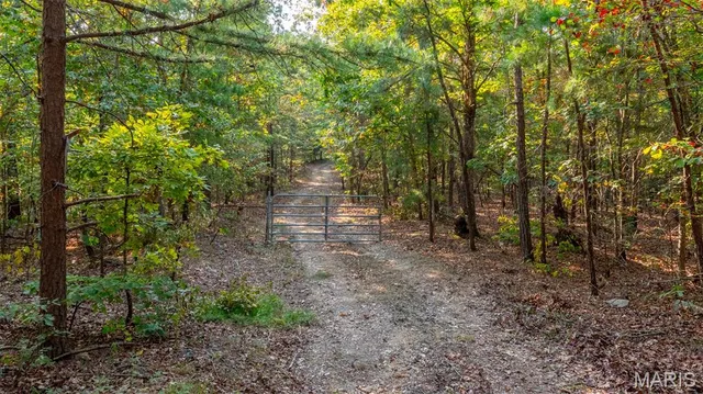 $269,900 | 0 County Road 137, Annapolis, MO 63620