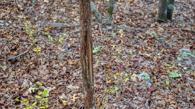 $269,900 | 0 County Road 137, Annapolis, MO 63620