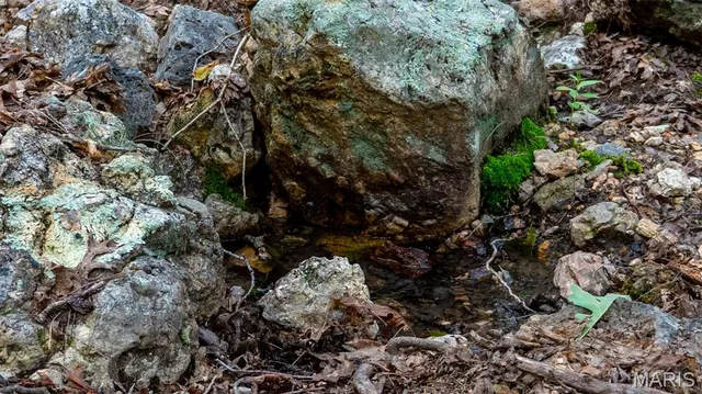 $269,900 | 0 County Road 137, Annapolis, MO 63620