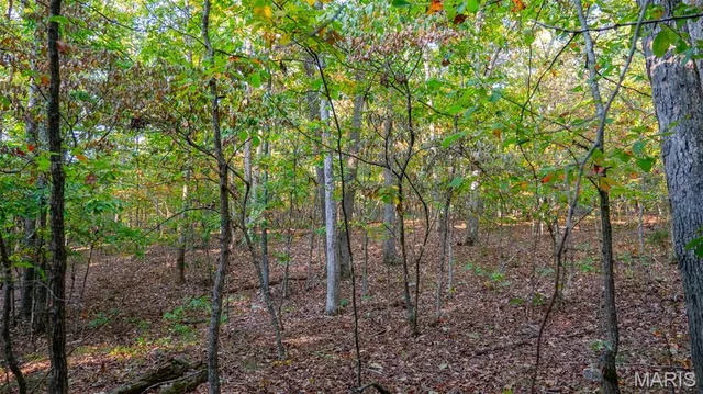 $269,900 | 0 County Road 137, Annapolis, MO 63620