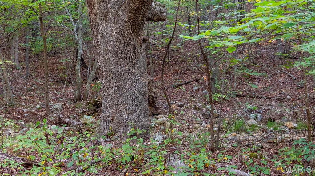 0 County Road 137 Annapolis, MO 63620 - Photo 44 of 52