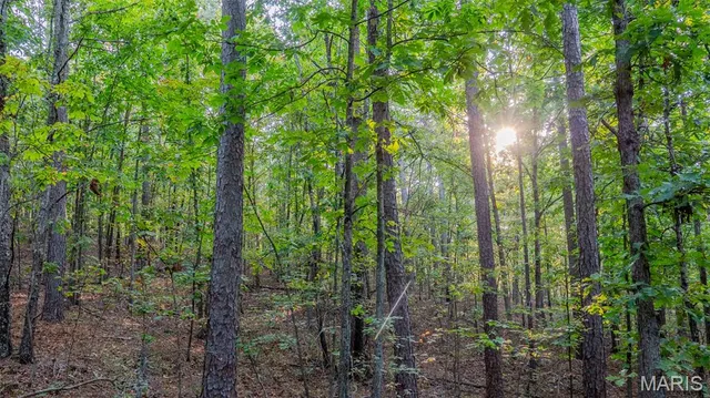 $269,900 | 0 County Road 137, Annapolis, MO 63620