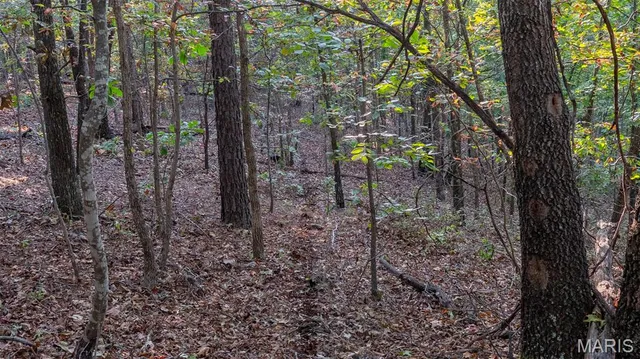 $269,900 | 0 County Road 137, Annapolis, MO 63620