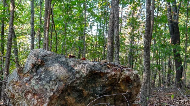 $269,900 | 0 County Road 137, Annapolis, MO 63620