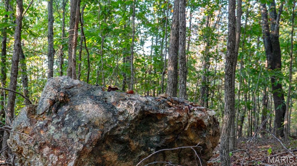 0 County Road 137 Annapolis, MO 63620 - Photo 47 of 52