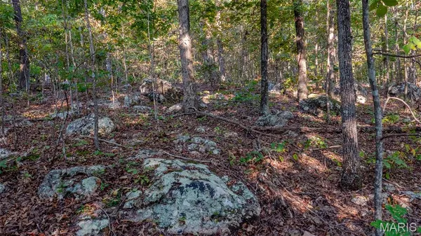 $227,500 | 0 County Road 137, Annapolis, MO 63620