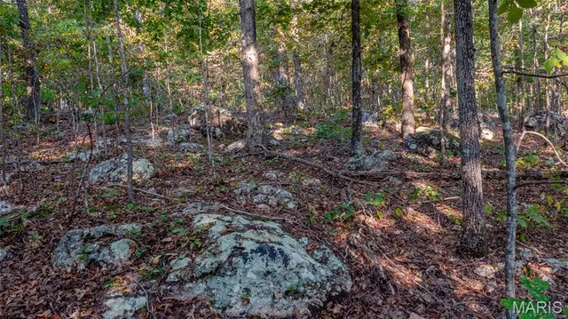 $269,900 | 0 County Road 137, Annapolis, MO 63620