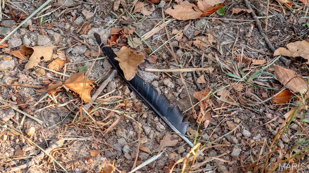 0 County Road 137 Annapolis, MO 63620 - Photo 49 of 52