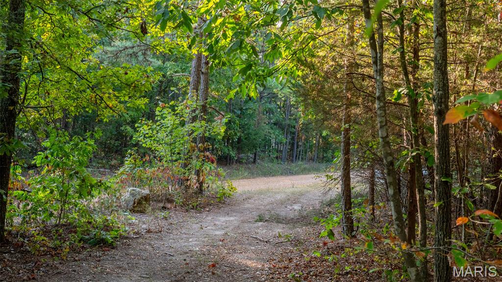 0 County Road 137 Annapolis, MO 63620 - Photo 51 of 52