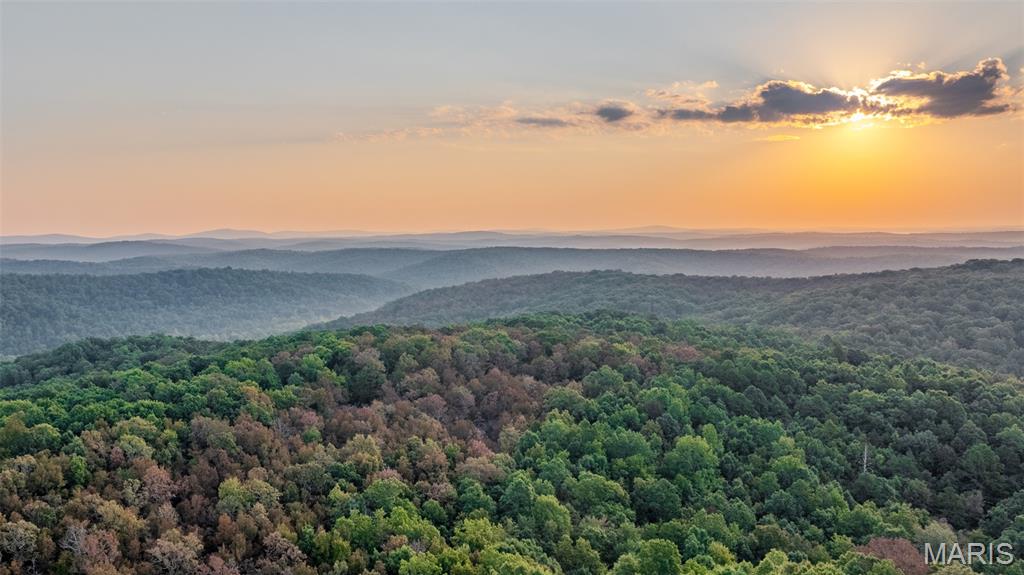 0 County Road 137 Annapolis, MO 63620 - Photo 7 of 52