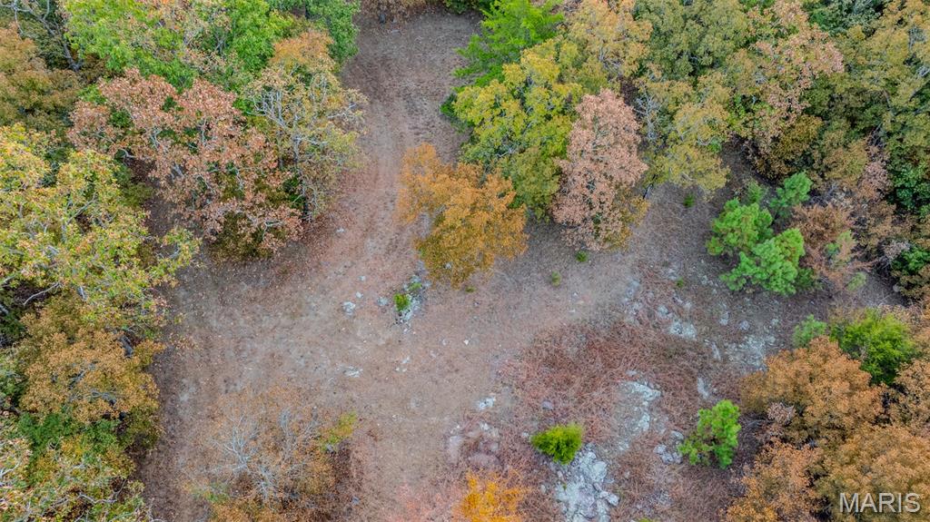 0 County Road 137 Annapolis, MO 63620 - Photo 9 of 52