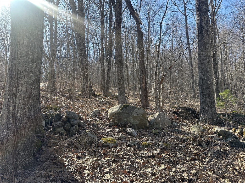Lot 1 Woodhill Road Monson, MA 01057 - Photo 2 of 9