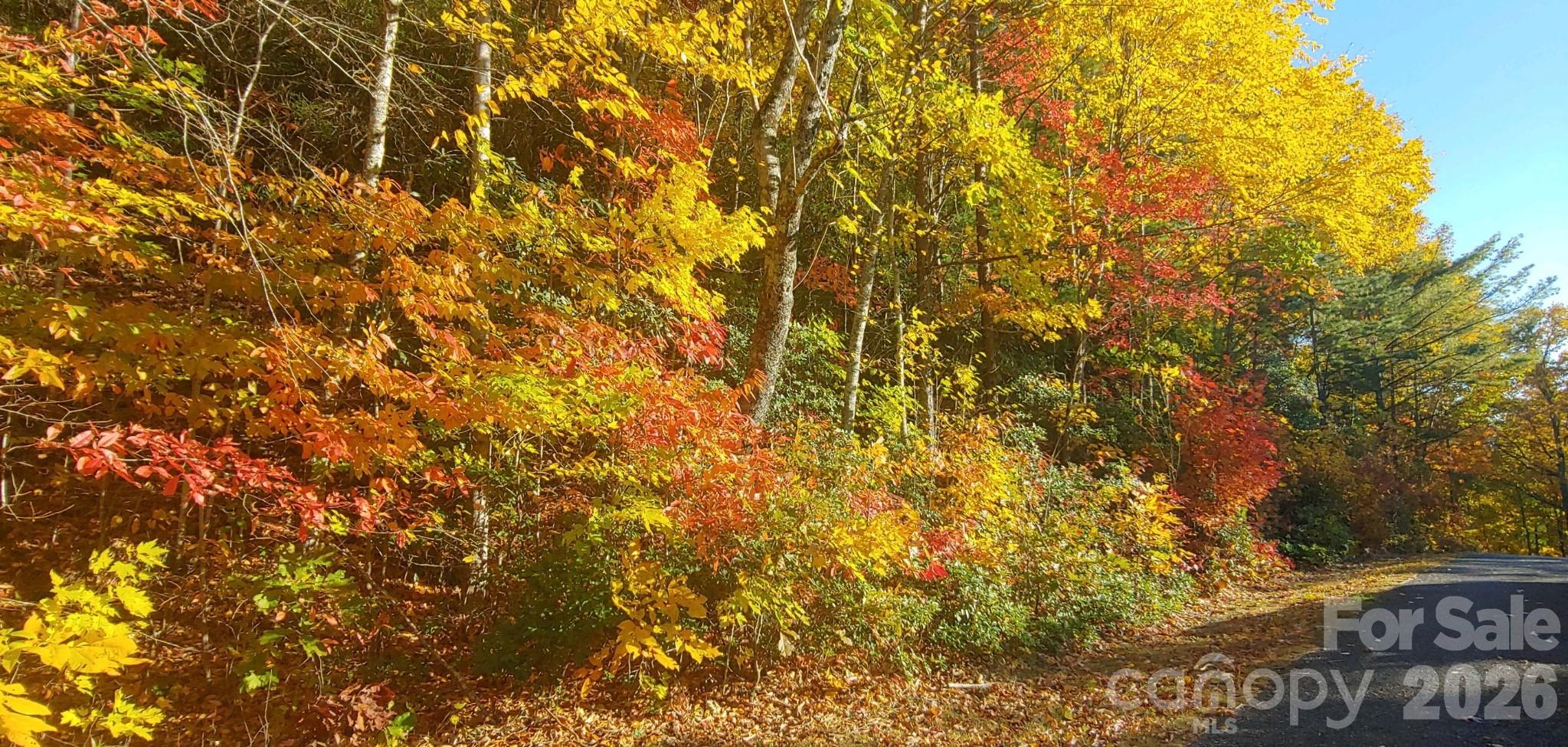 99999 Red Oak Forest Road, Unit 1418 Fairview, NC 28730 - Photo 16 of 24