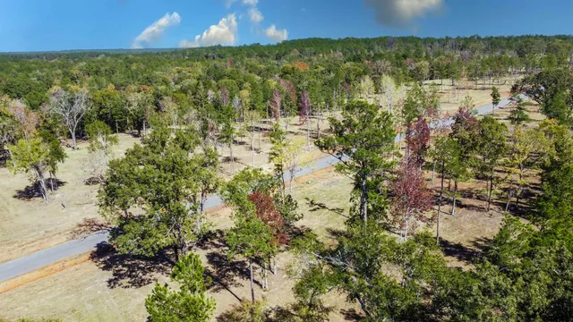 $210,560 | 15702 Aniston Lane, Flint, TX 75762