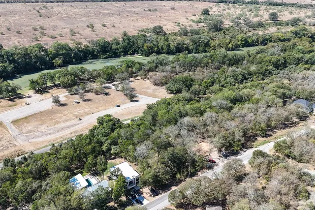a view of a bunch of trees and bushes