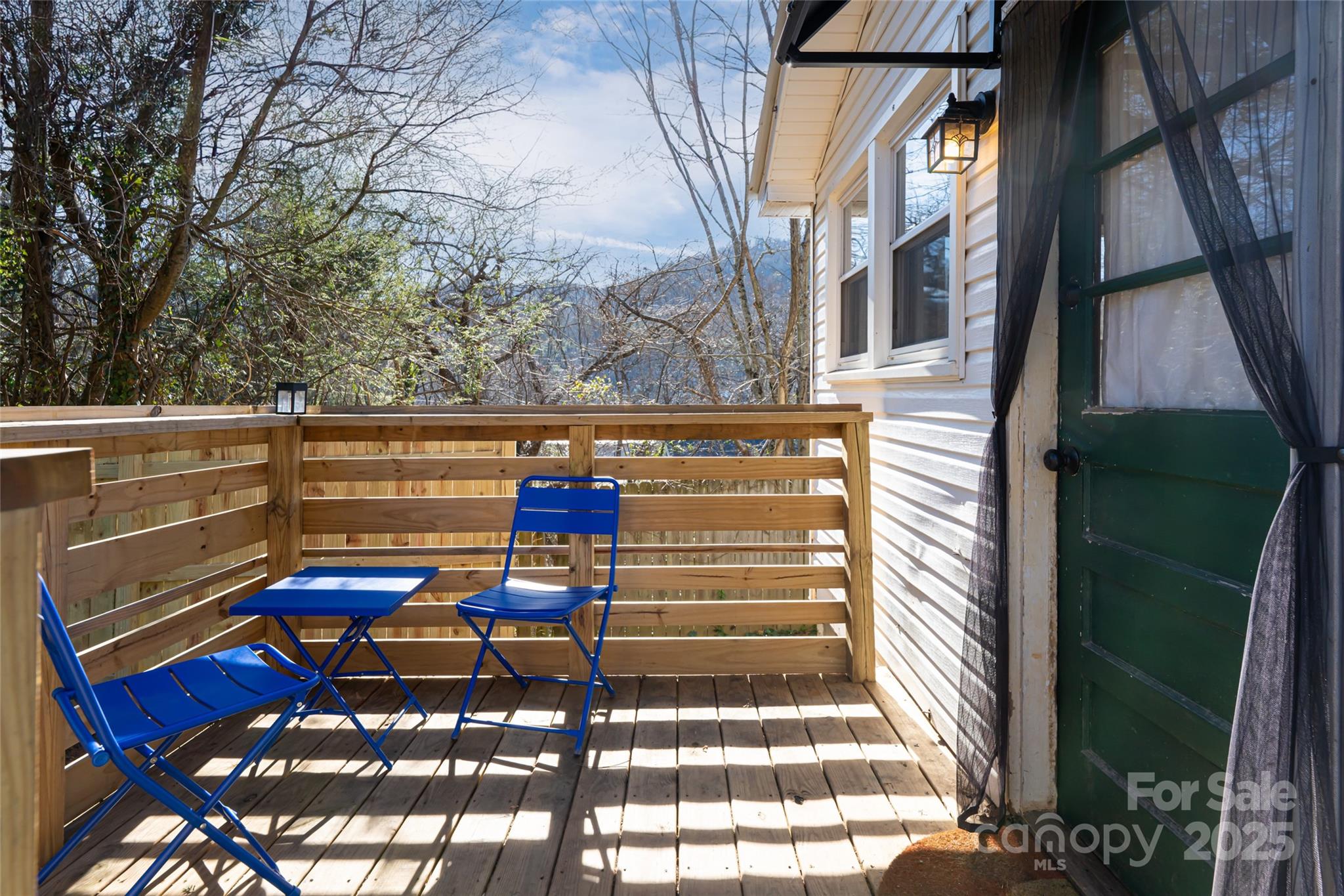 20 Cardinal Ridge Drive Asheville, NC 28805 - Photo 4 of 34