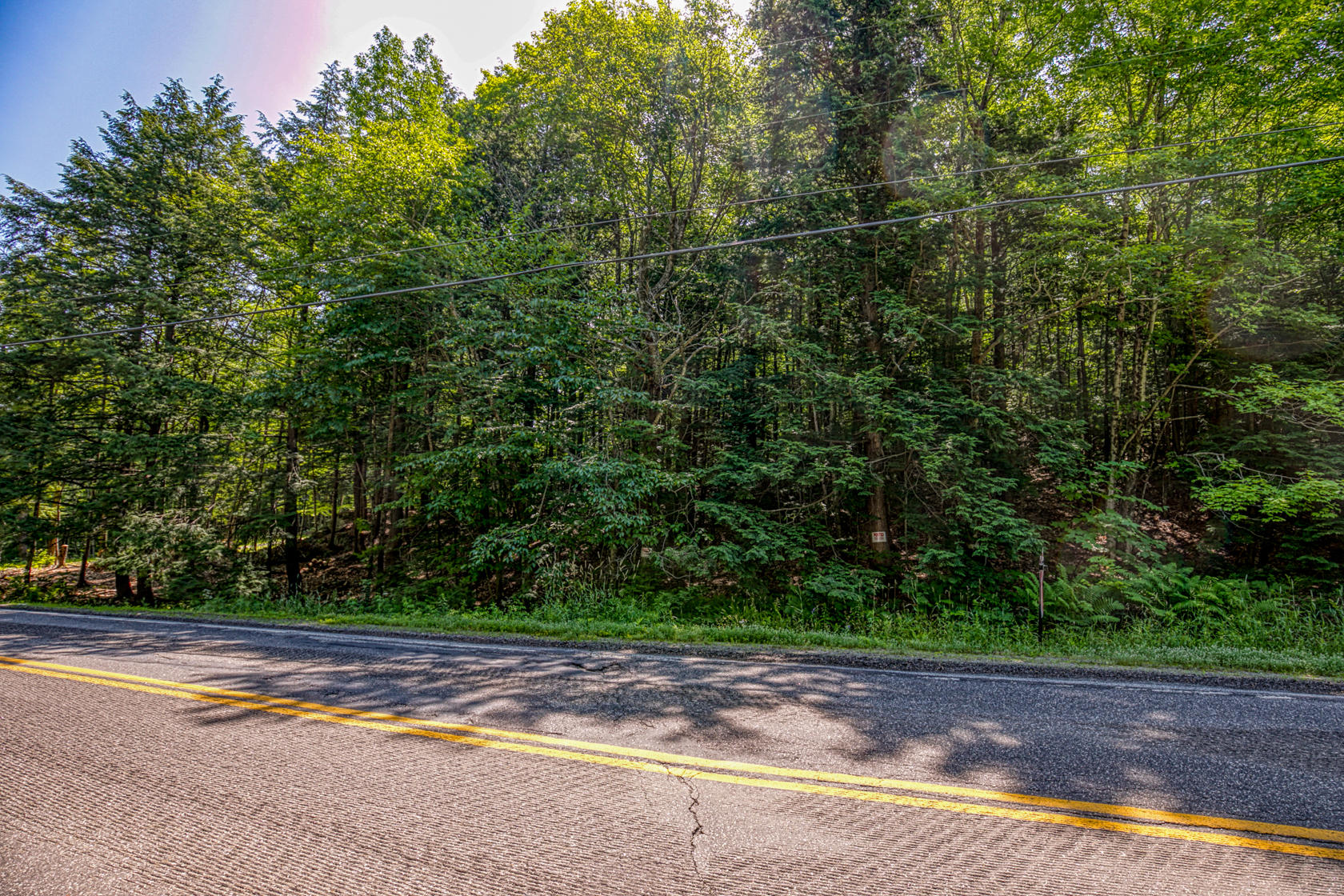 Lot 72 Litchfield Road Wales, ME 04280 - Photo 1 of 13 0H9A7747