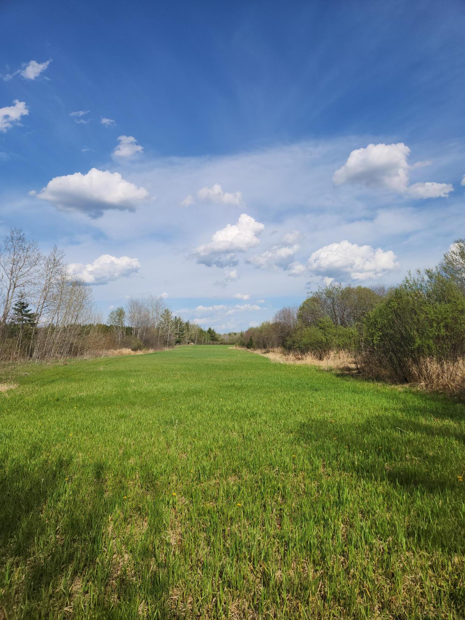 9453 Alango Road Angora, MN 55703 - Photo 8 of 8