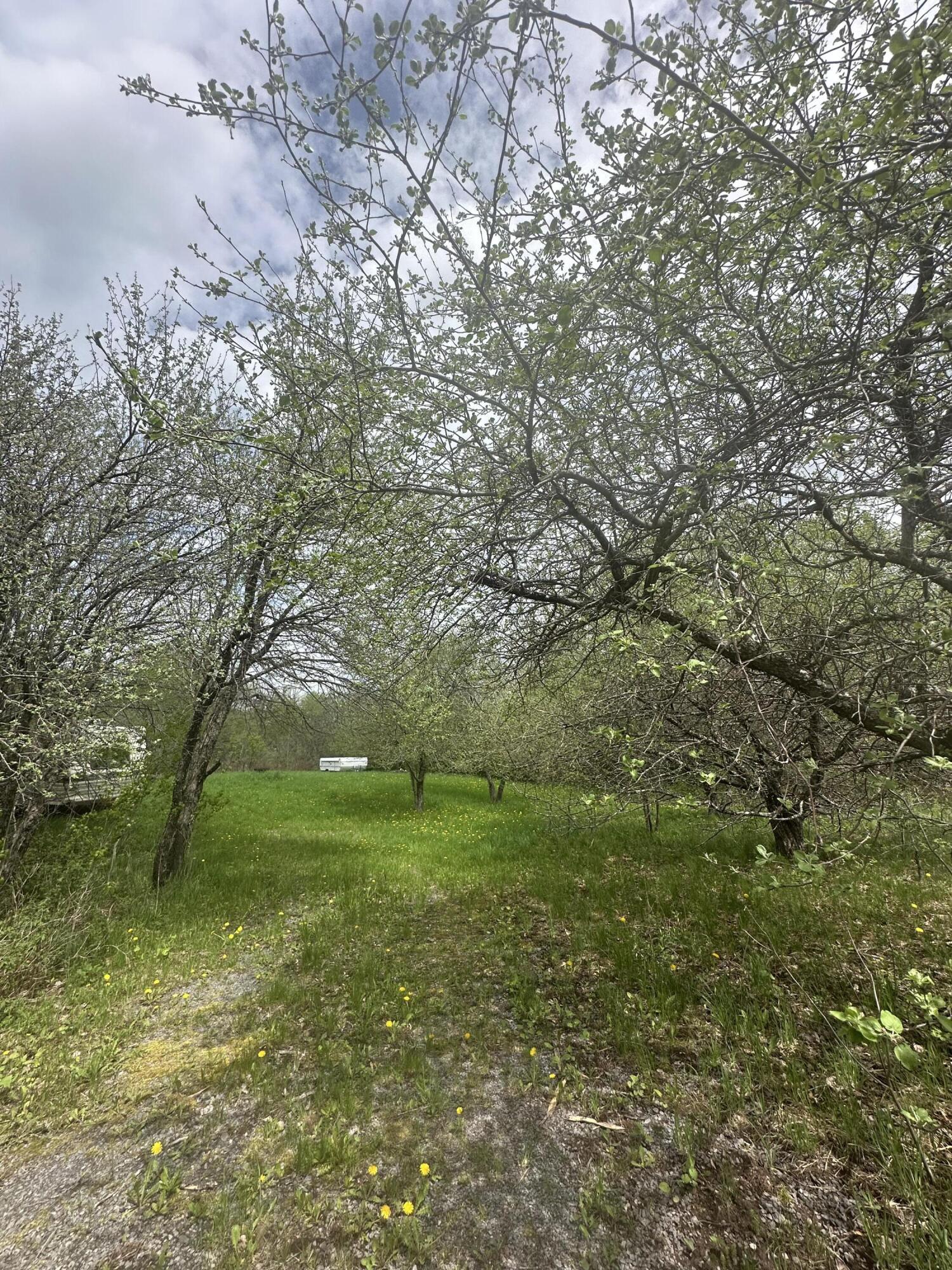 0 Rand Hill Road Beekmantown, NY 12992 - Photo 5 of 12