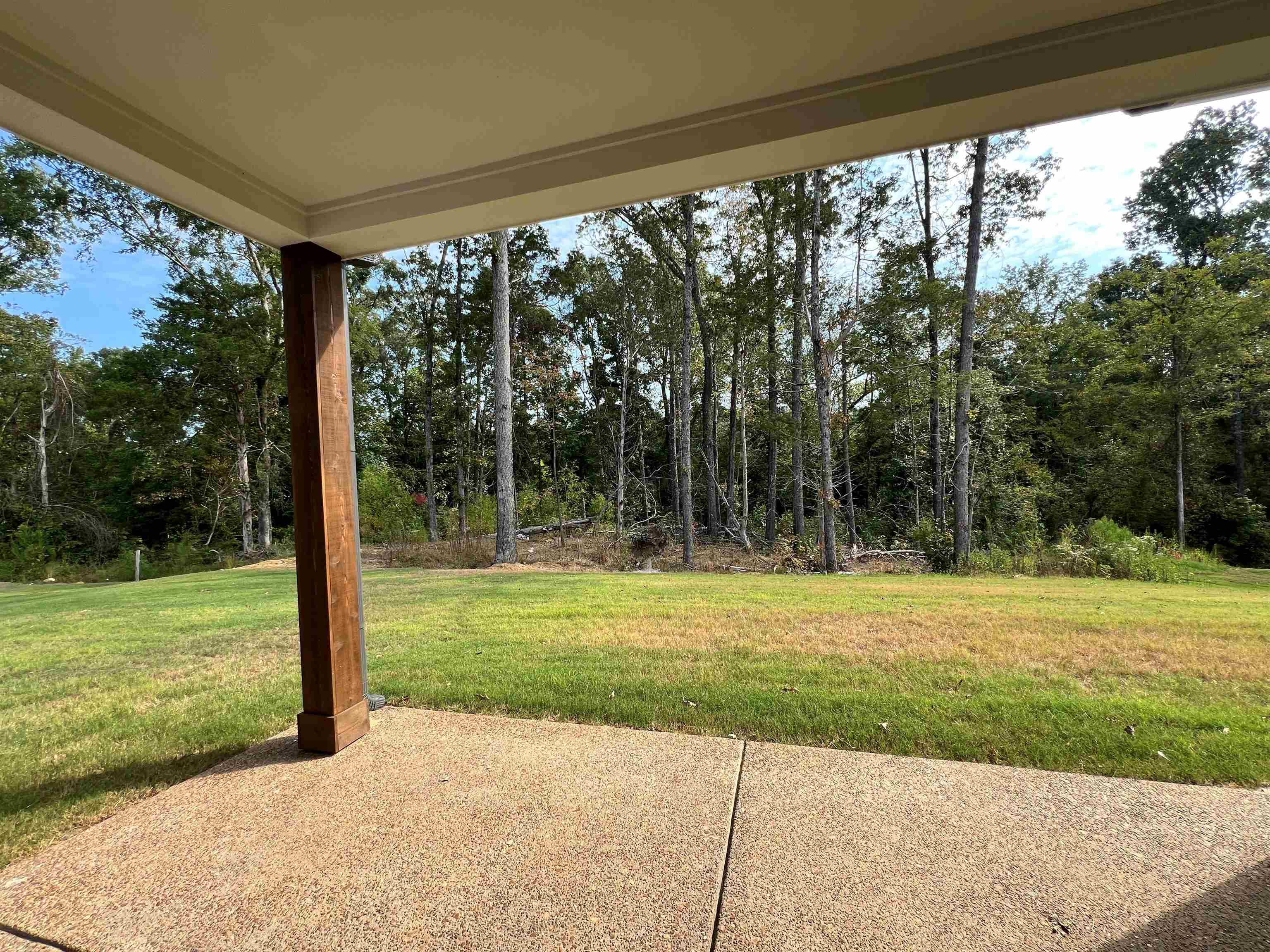 220 Drake Drive Collierville, TN 38017 - Photo 27 of 30 a view of a trees with a big yard