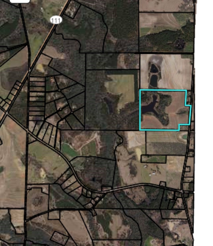 0 Old Newton Road Pelham, GA 31779 - Photo 2 of 2 Gallery Image 2