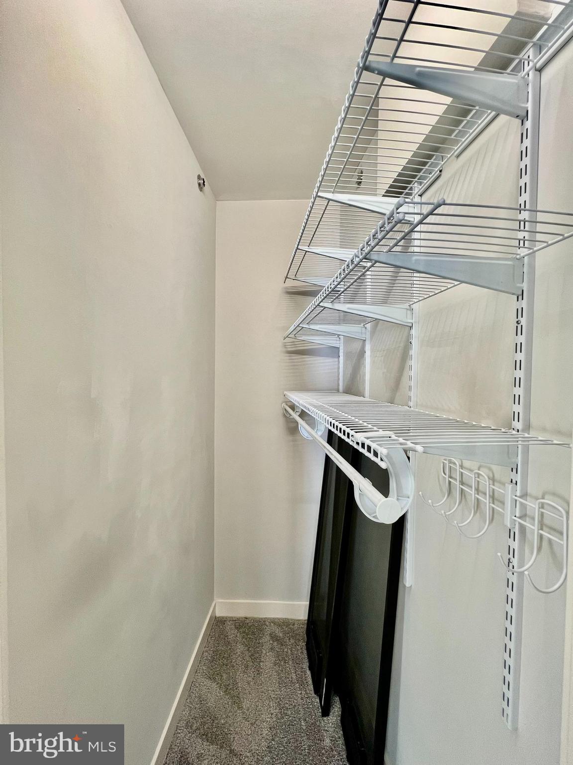 1320 Fenwick Lane, Unit 808 Silver Spring, MD 20910 - Photo 13 of 29 Walk-in closet