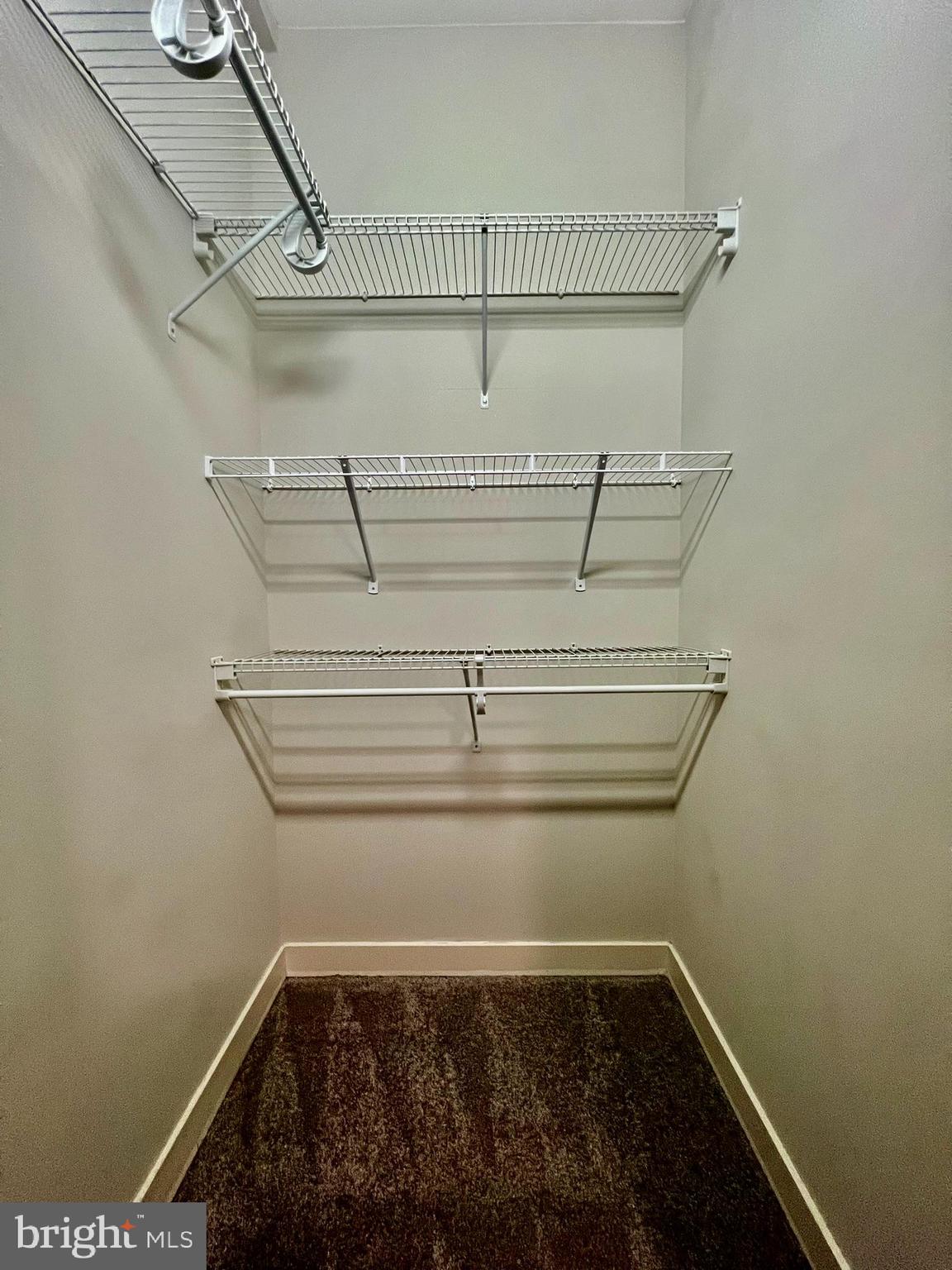 1320 Fenwick Lane, Unit 808 Silver Spring, MD 20910 - Photo 17 of 29 Walk-in closet