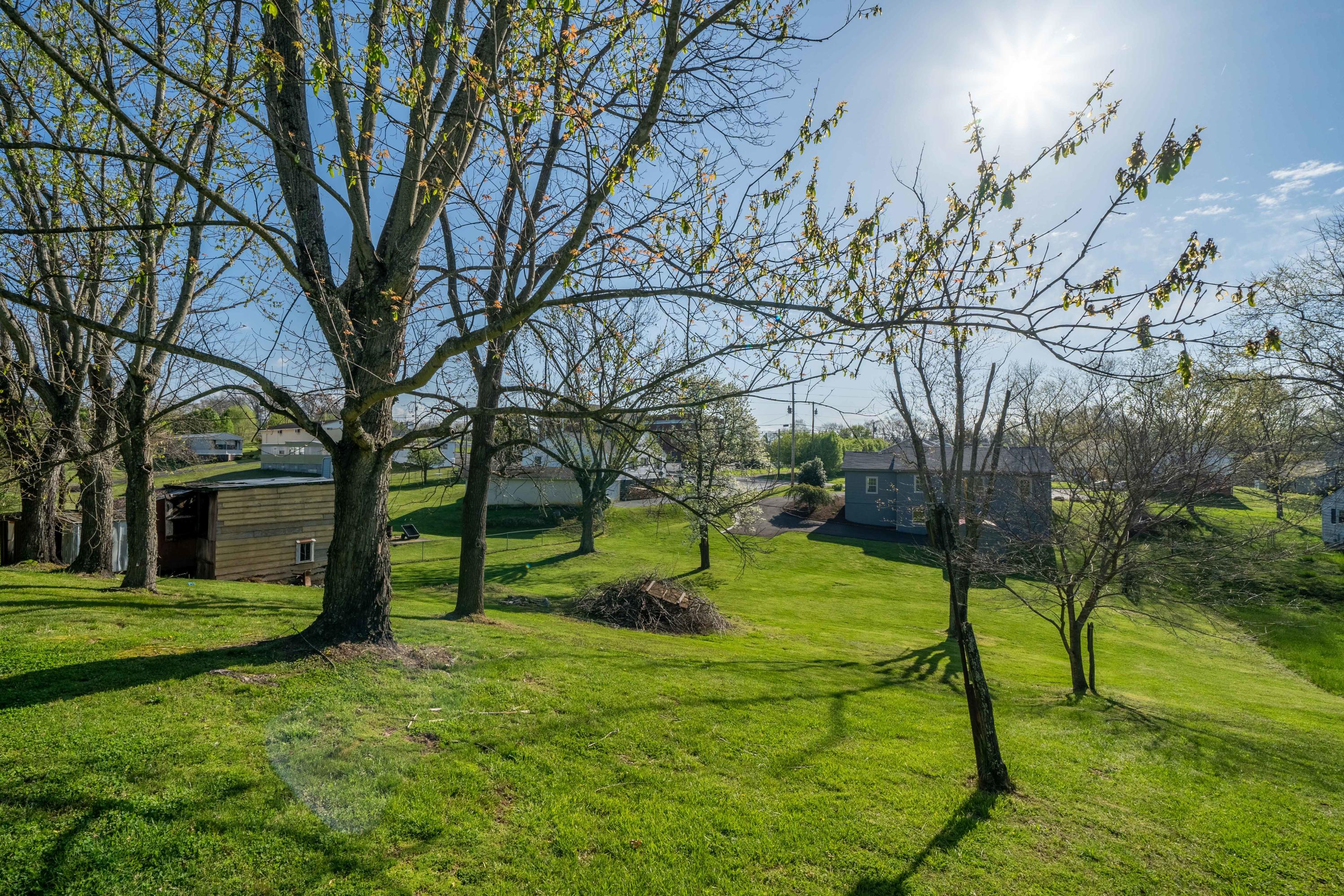 391 Oak Grove Road Gray, TN 37615 - Photo 25 of 50 391 Oak Grove Road (19 of 50)