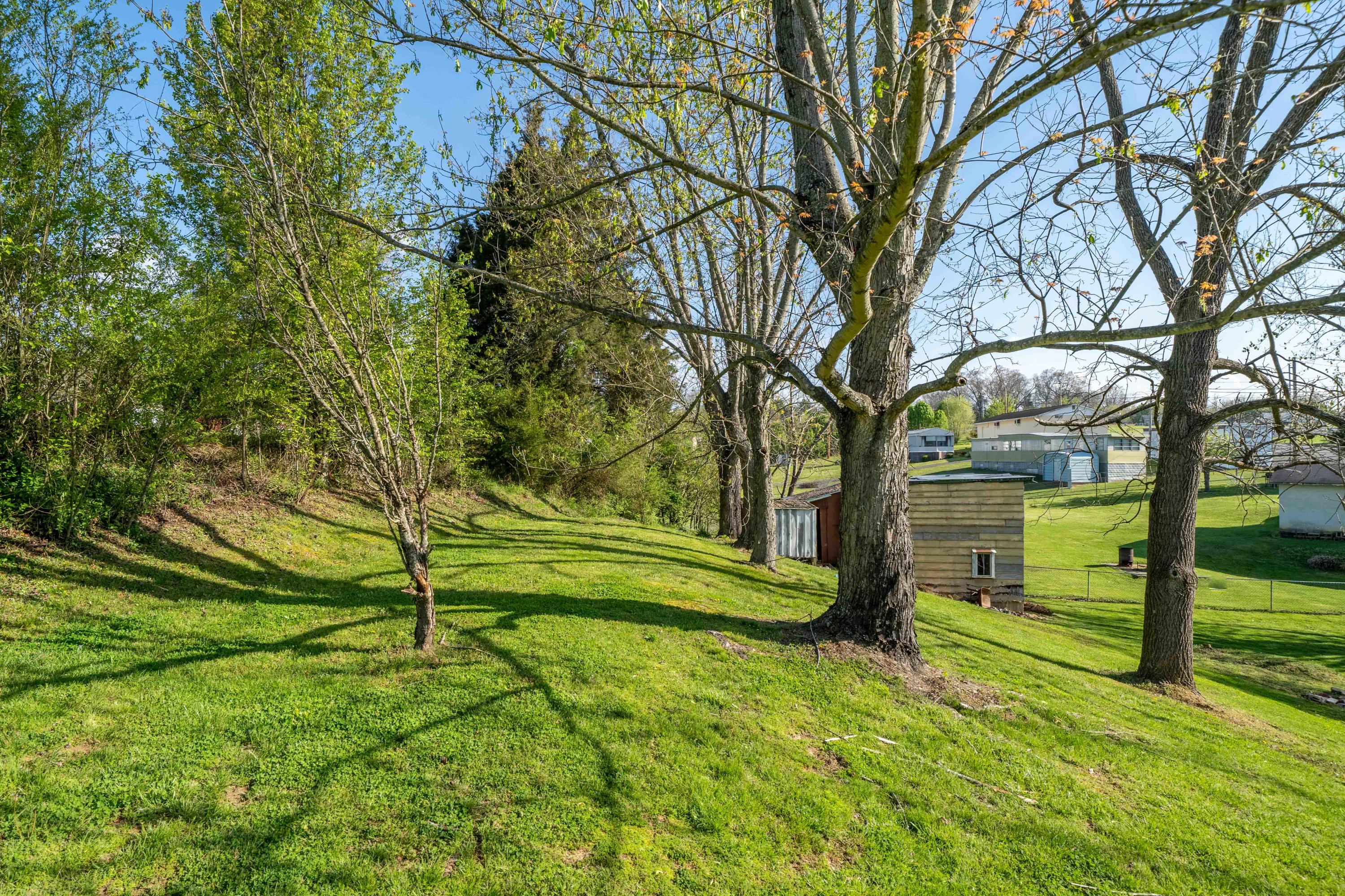 391 Oak Grove Road Gray, TN 37615 - Photo 26 of 50 391 Oak Grove Road (20 of 50)