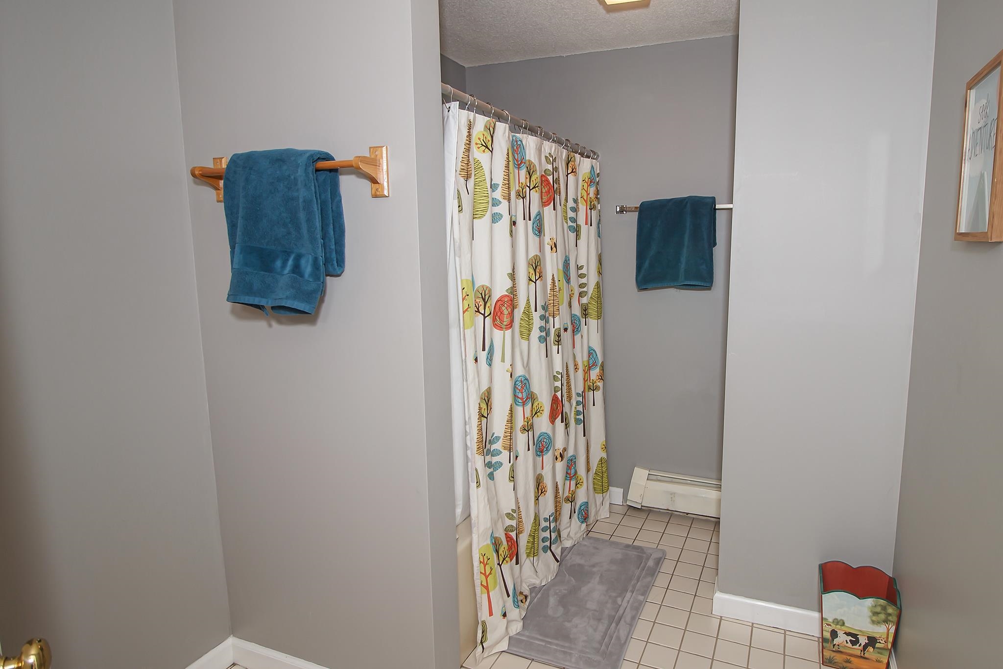 195 Mann Road, Unit 13 Wilmington, VT 05363 - Photo 20 of 28 Gallery Image 20