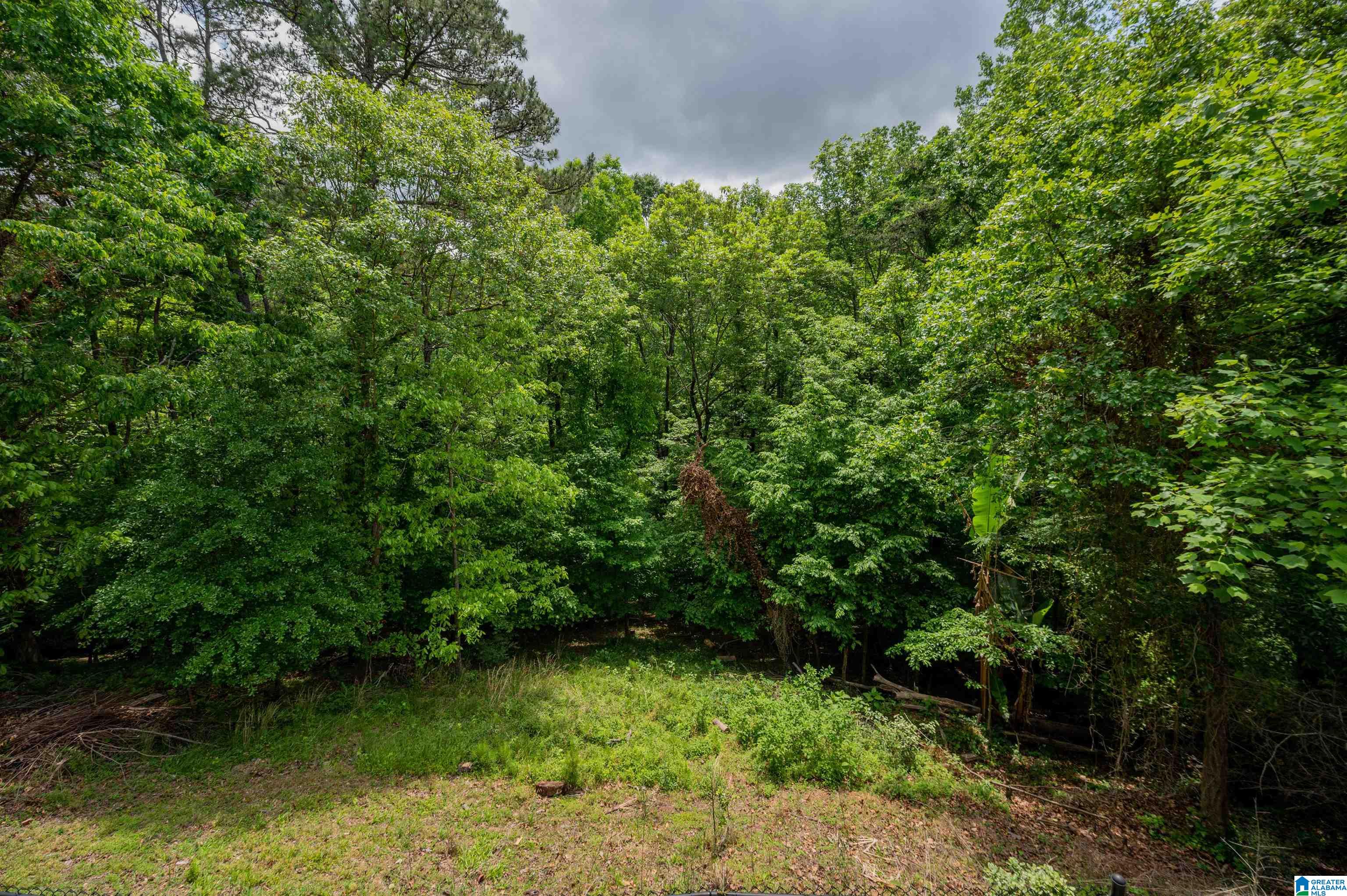 224 Oakmont Road Birmingham, AL 35244 - Photo 50 of 50