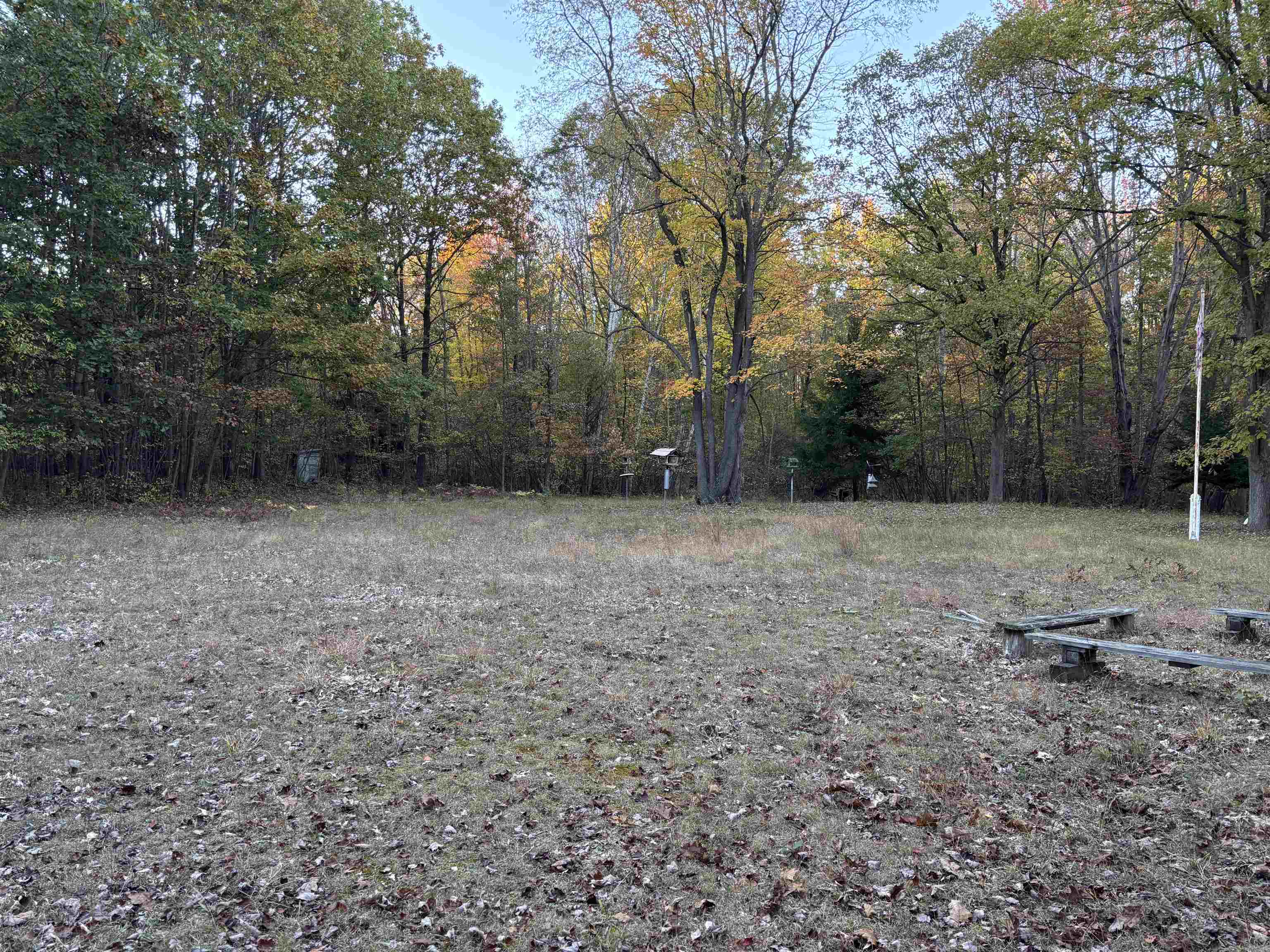 10000 East Pickard Road Mount Pleasant, MI 48858 - Photo 12 of 18