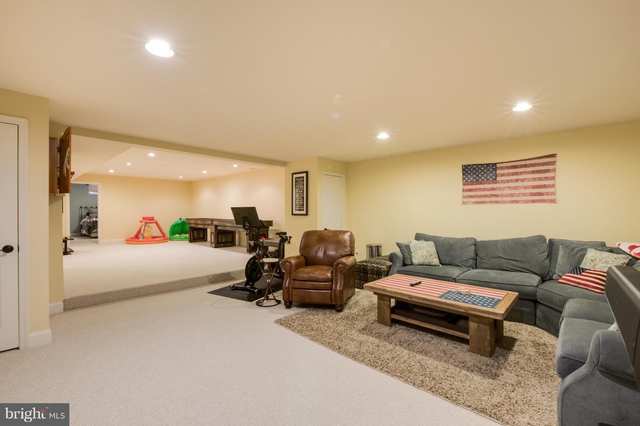 11 Watkins Row Edgewater, MD 21037 - Photo 15 of 30 Basement family room. 2 new sump pumps