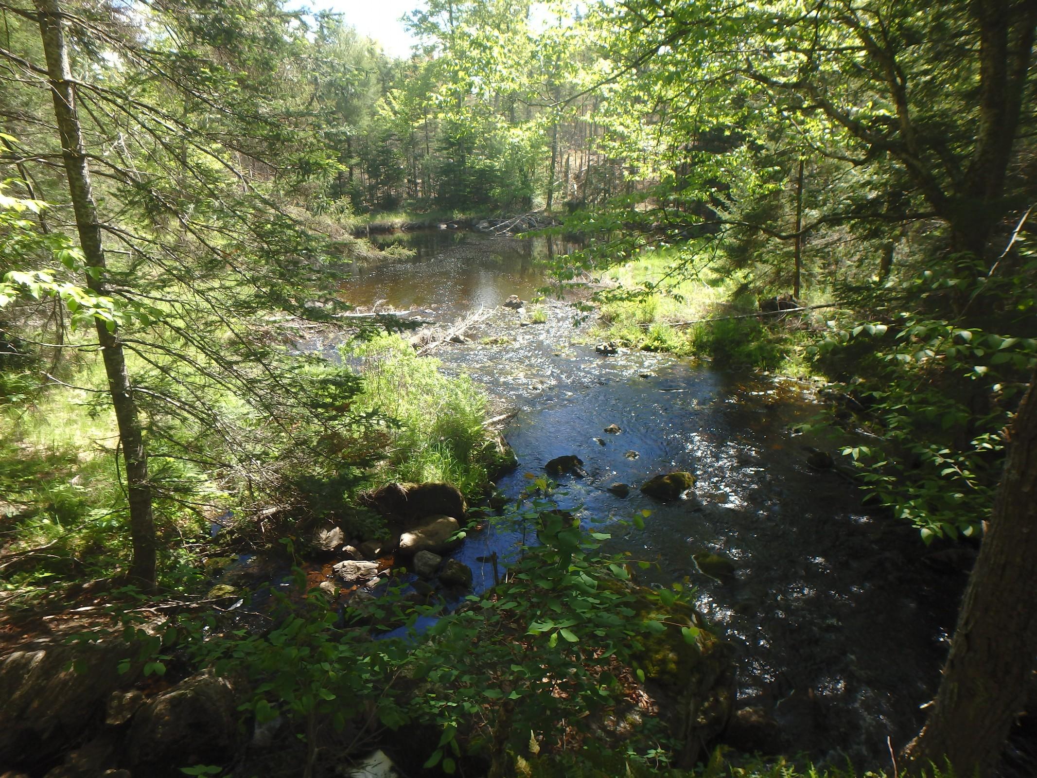 0 Dresser Road Bucksport, ME 04416 - Photo 5 of 7 Soucy_11108_P05_117275