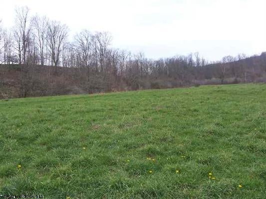 Lot 5 Alpenglow Ridge Estates Dryfork, WV 26263 - Photo 3 of 4 Gallery Image 3