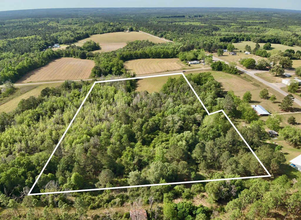 14.57-acres Red Oak Road Florala, AL 36442 - Photo 7 of 14